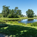 Park Bench and VanderYacht Park Pond