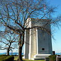 Peace Arch and January Trees