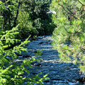 Peshastin Creek in Summer