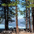 Picnic Tables and Pine Trees at Lake Wenatchee