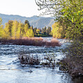Wenatchee River Ripples at Sunrise